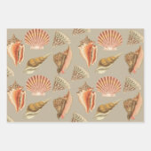 Zeeschelpen artistieke  stijl inpakpapier vel (Voorkant)