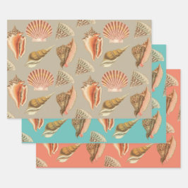 Zeeschelpen artistieke  stijl inpakpapier vel