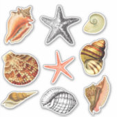 Zeeschelpen artistieke  stijl sticker (Voorkant)