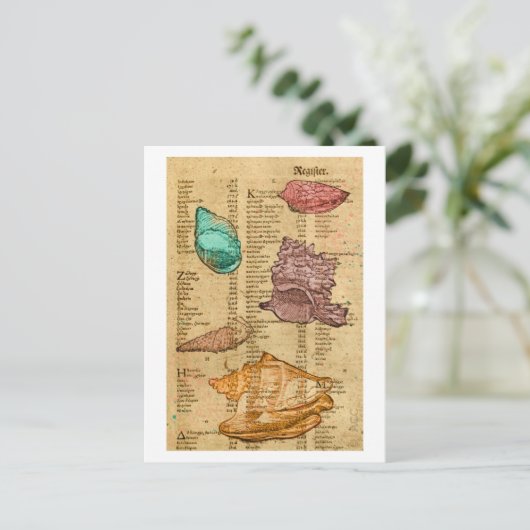 Zeeschelpen Briefkaart (Staand voorkant)