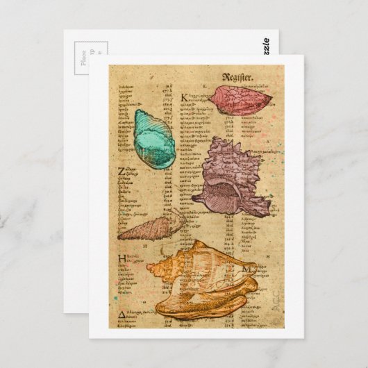 Zeeschelpen Briefkaart (Voorkant / Achterkant)