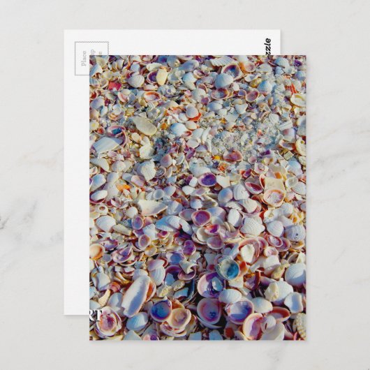 Zeeschelpen Briefkaart (Voorkant / Achterkant)