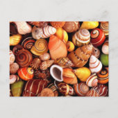 Zeeschelpen Briefkaart (Voorkant)