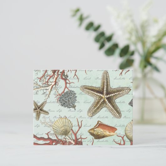 zeeschelpen...briefkaart briefkaart (Staand voorkant)