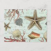  zeeschelpen...briefkaart briefkaart (Voorkant)