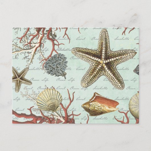  zeeschelpen...briefkaart briefkaart (Voorkant)
