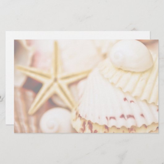  zeeschelpen briefpapier (Voorkant / Achterkant)