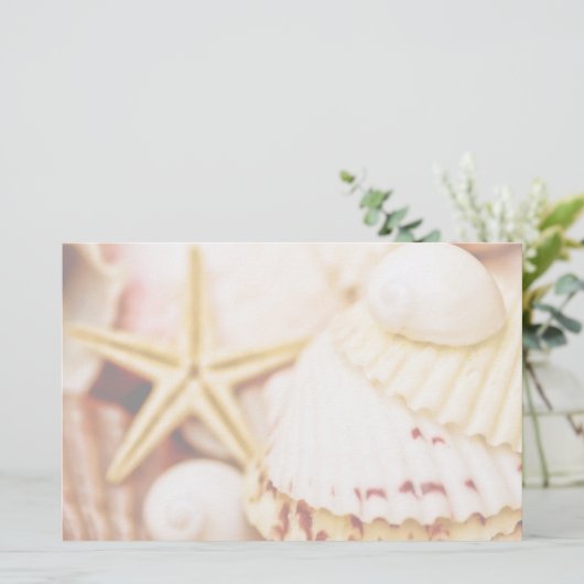  zeeschelpen briefpapier (Staand voorkant)