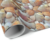 Zeeschelpen Cadeaupapier (Rol Hoek)