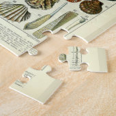 zeeschelpen door Adolphe Millot Legpuzzel (Zijkant)