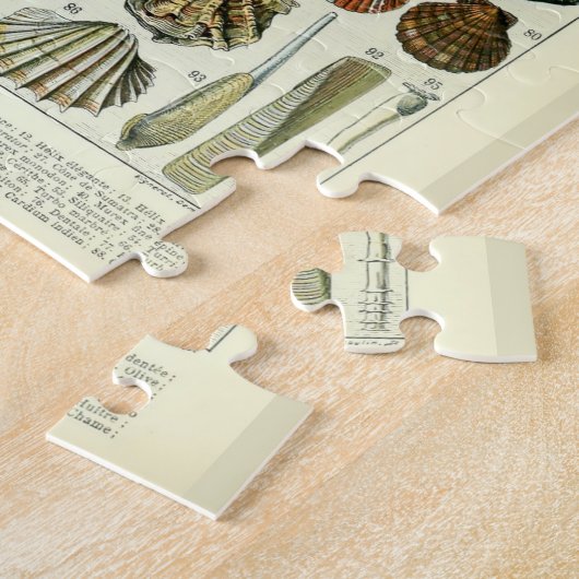  zeeschelpen door Adolphe Millot Legpuzzel (Zijkant)