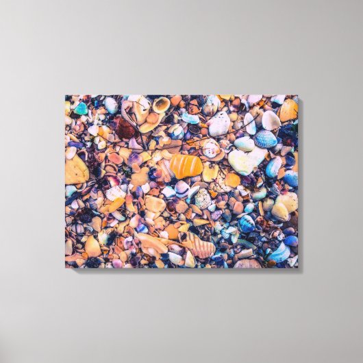Zeeschelpen en keelschepen canvas afdruk (Voorkant)