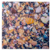 Zeeschelpen en keelschepen tegeltje (Voorkant)