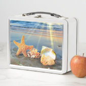 Zeeschelpen en zeesterkreeft op het strand (In situ)