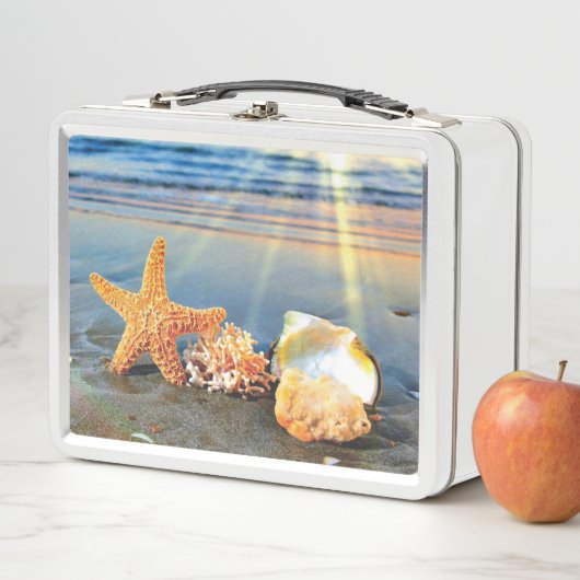 Zeeschelpen en zeesterkreeft op het strand (In situ)