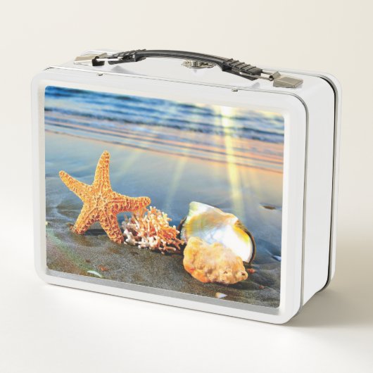 Zeeschelpen en zeesterkreeft op het strand (Achterkant)