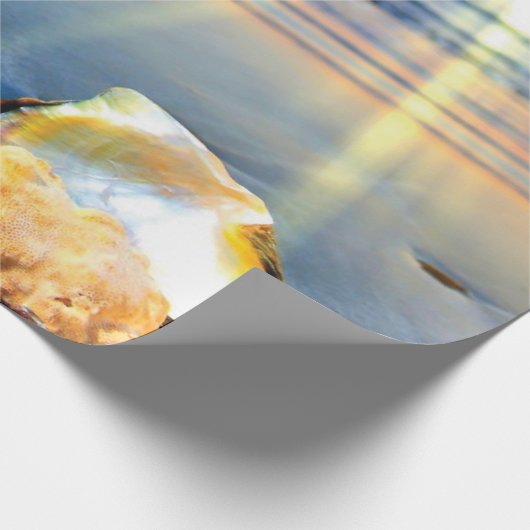 Zeeschelpen en zeesterkreeft op het strand cadeaupapier (Hoek)