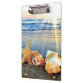 Zeeschelpen en zeesterkreeft op het strand klembord (Links)