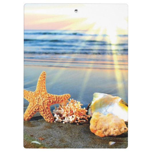 Zeeschelpen en zeesterkreeft op het strand klembord (Achterkant)