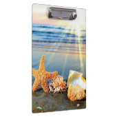 Zeeschelpen en zeesterkreeft op het strand klembord (Rechts)