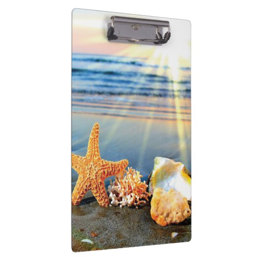 Zeeschelpen en zeesterkreeft op het strand klembord (Rechts)