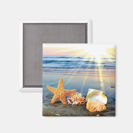 Zeeschelpen en zeesterkreeft op het strand magneet (Voorkant / Achterkant)