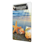 Zeeschelpen en zeesterkreeft op het strand mini klembord (Angled2)