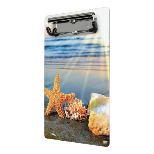 Zeeschelpen en zeesterkreeft op het strand mini klembord (Angled2)