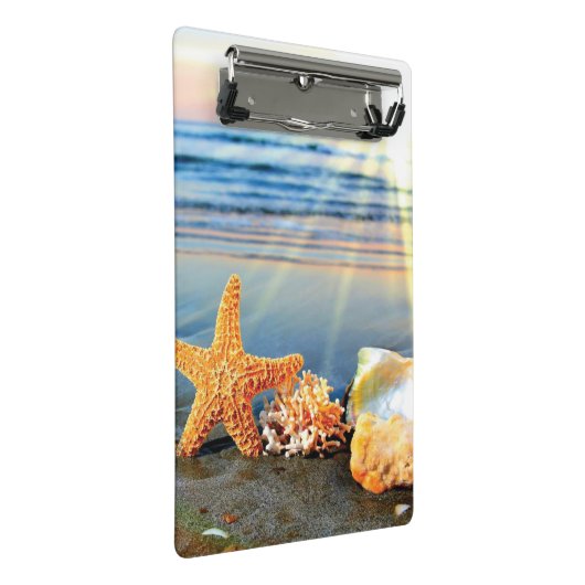 Zeeschelpen en zeesterkreeft op het strand mini klembord (Schuin)