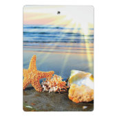 Zeeschelpen en zeesterkreeft op het strand mini klembord (Achterkant)