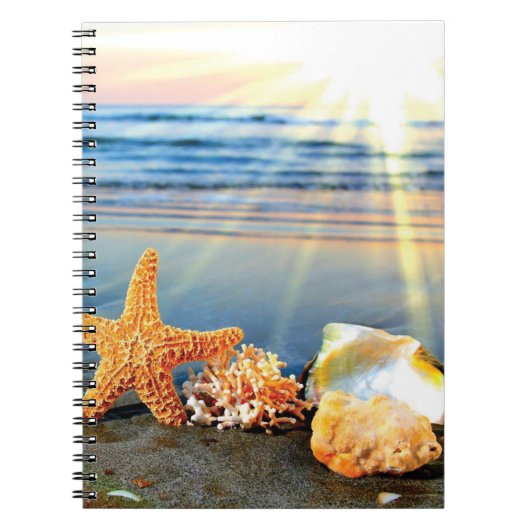 Zeeschelpen en zeesterkreeft op het strand notitieboek (Voorkant)