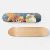 Zeeschelpen en zeesterkreeft op het strand persoonlijk skateboard (Horizontaal)