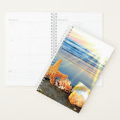 Zeeschelpen en zeesterkreeft op het strand planner (Display)