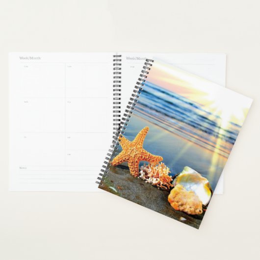 Zeeschelpen en zeesterkreeft op het strand planner (Display)