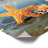 Zeeschelpen en zeesterkreeft op het strand poster (Hoek)