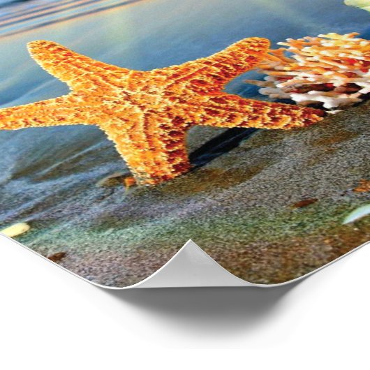 Zeeschelpen en zeesterkreeft op het strand poster (Hoek)