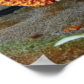 Zeeschelpen en zeesterkreeft op het strand poster (Hoek)