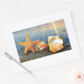 Zeeschelpen en zeesterkreeft op het strand rechthoekige sticker (Envelop)