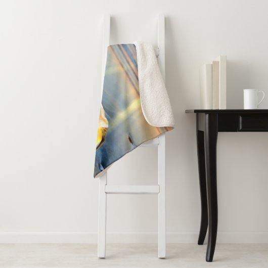 Zeeschelpen en zeesterkreeft op het strand sherpa deken (In situ)