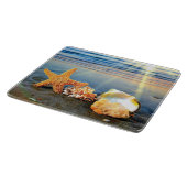 Zeeschelpen en zeesterkreeft op het strand snijplank (Hoek)