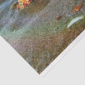 Zeeschelpen en zeesterkreeft op het strand tissuepapier (Detail)