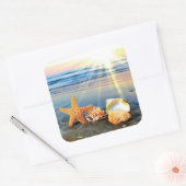 Zeeschelpen en zeesterkreeft op het strand vierkante sticker (Envelop)