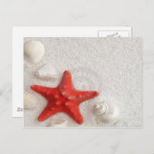 zeeschelpen en zeesterren briefkaart (Voorkant / Achterkant)