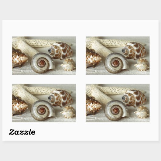 Zeeschelpen en zeesterren strand sticker (Vel)