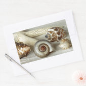 Zeeschelpen en zeesterren strand sticker (Envelop)