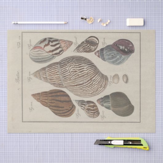 Zeeschelpen Ephemera Decoupage Frans Tissuepapier (Craft)