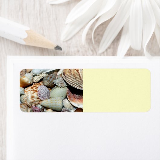 zeeschelpen etiket (Insitu)