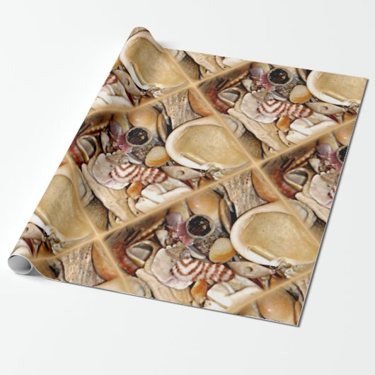 Zeeschelpen in de Atlantische Oceaan Cadeaupapier (Uitgerold)