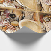 Zeeschelpen in de Atlantische Oceaan Cadeaupapier (Hoek)