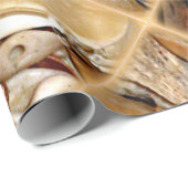 Zeeschelpen in de Atlantische Oceaan Cadeaupapier (Rol Hoek)